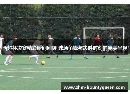 西超杯决赛精彩瞬间回顾 球场争锋与决胜时刻的完美呈现