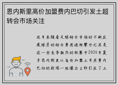 恩内斯里高价加盟费内巴切引发土超转会市场关注 恩内斯里高价加盟费内巴切引发土超转会市场关注